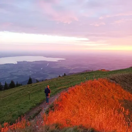 Menter Апартаменты